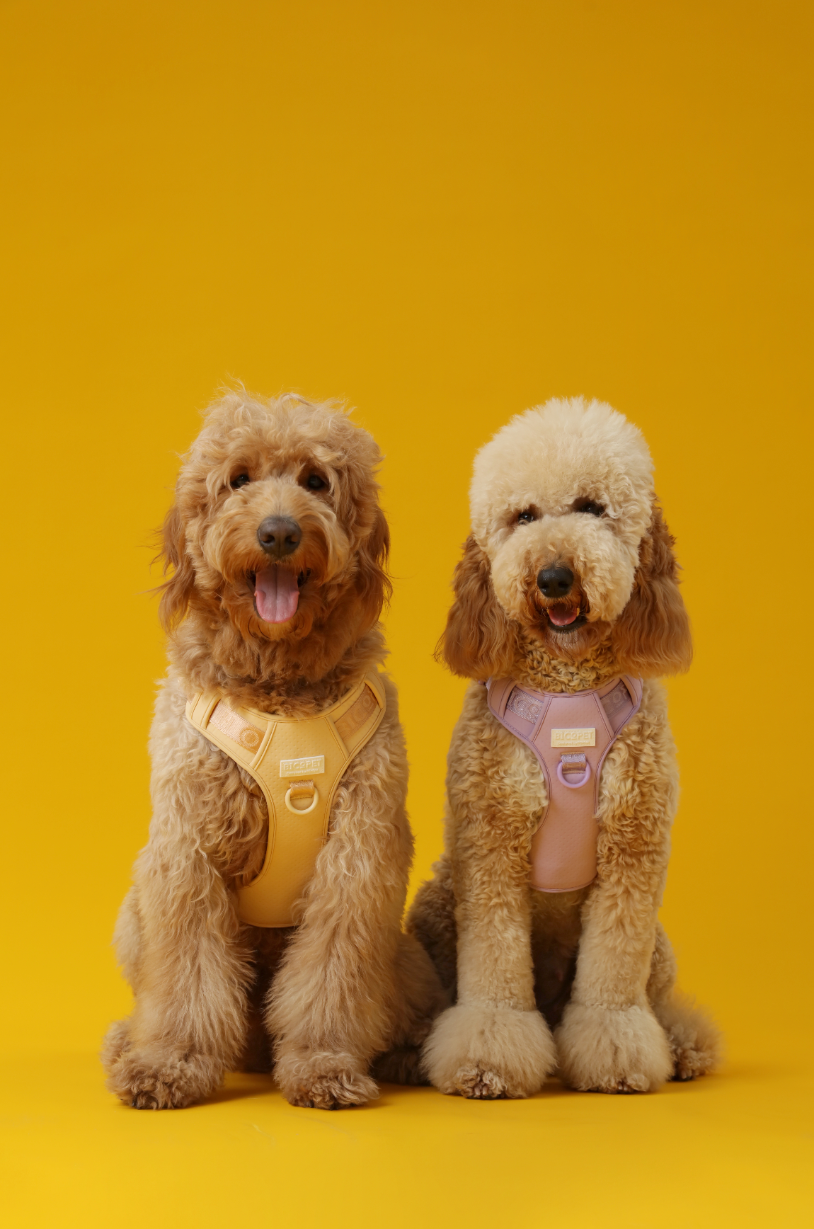 Pehom | No Pull Active Pet Harness - Apricot
