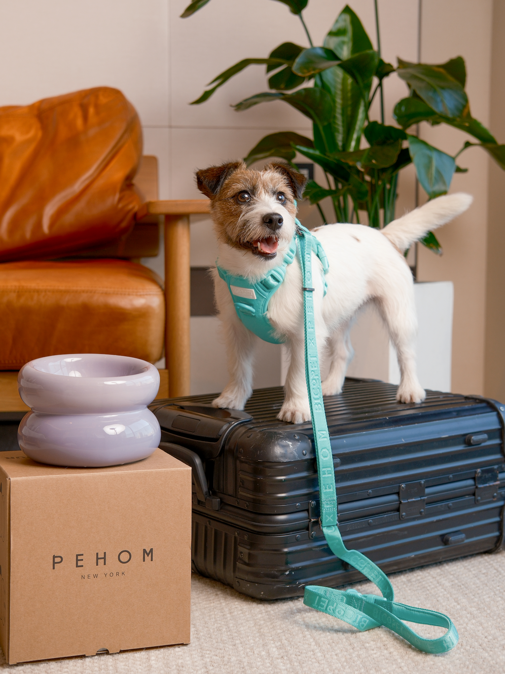 Pehom | Padded Active Pet Leash - Mint Green