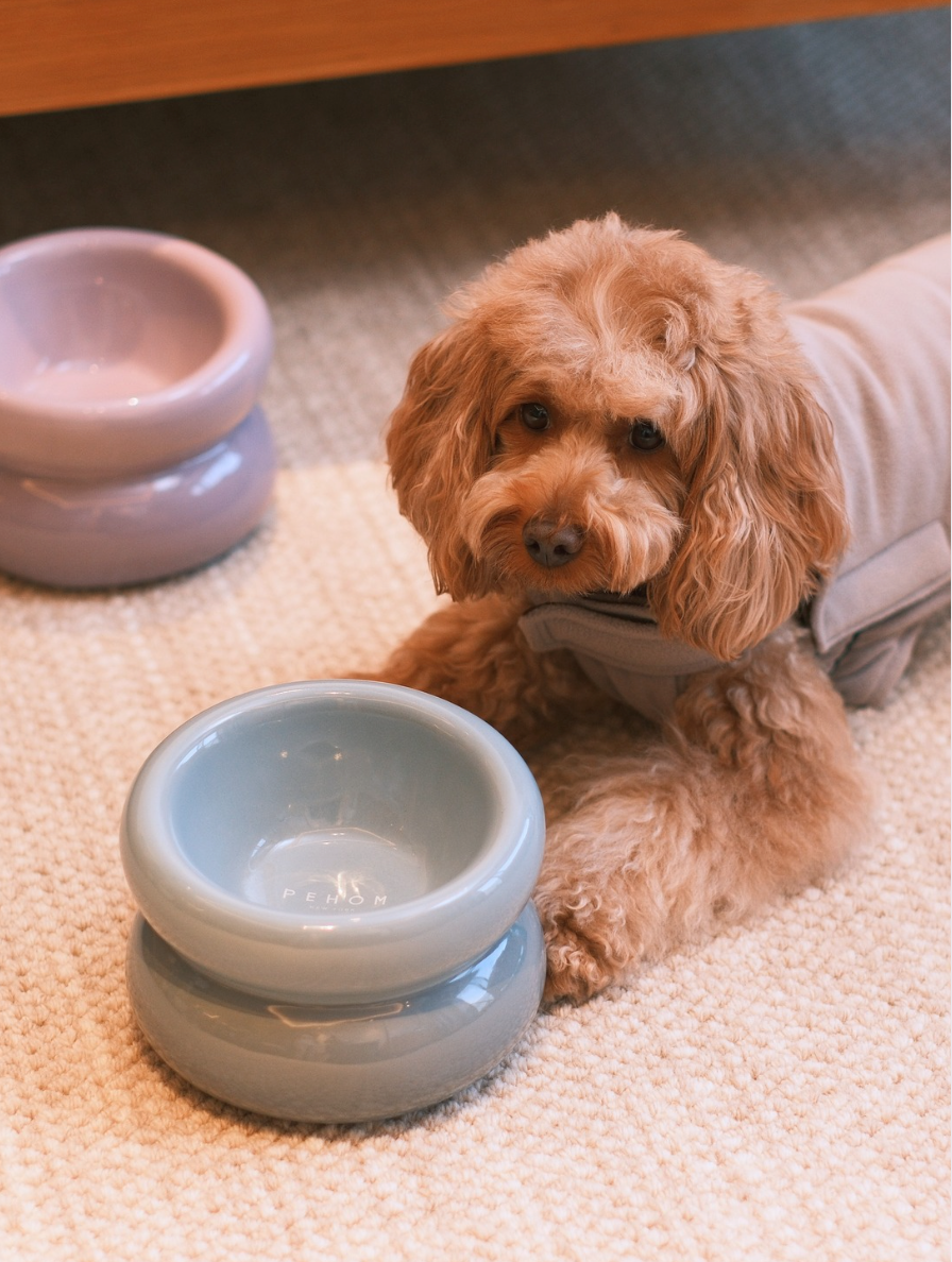 Pehom | Soufflé Pet Bowl - Frozen Blue