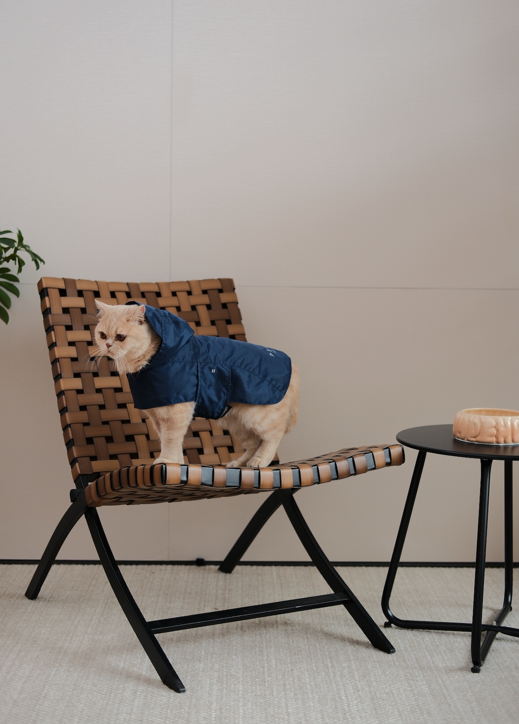 Pehom | Capsule Raincoat - Blue