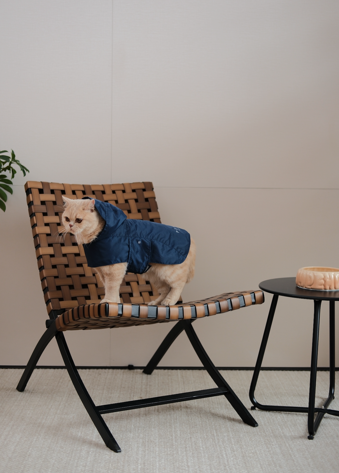 Pehom | Capsule Raincoat - Blue