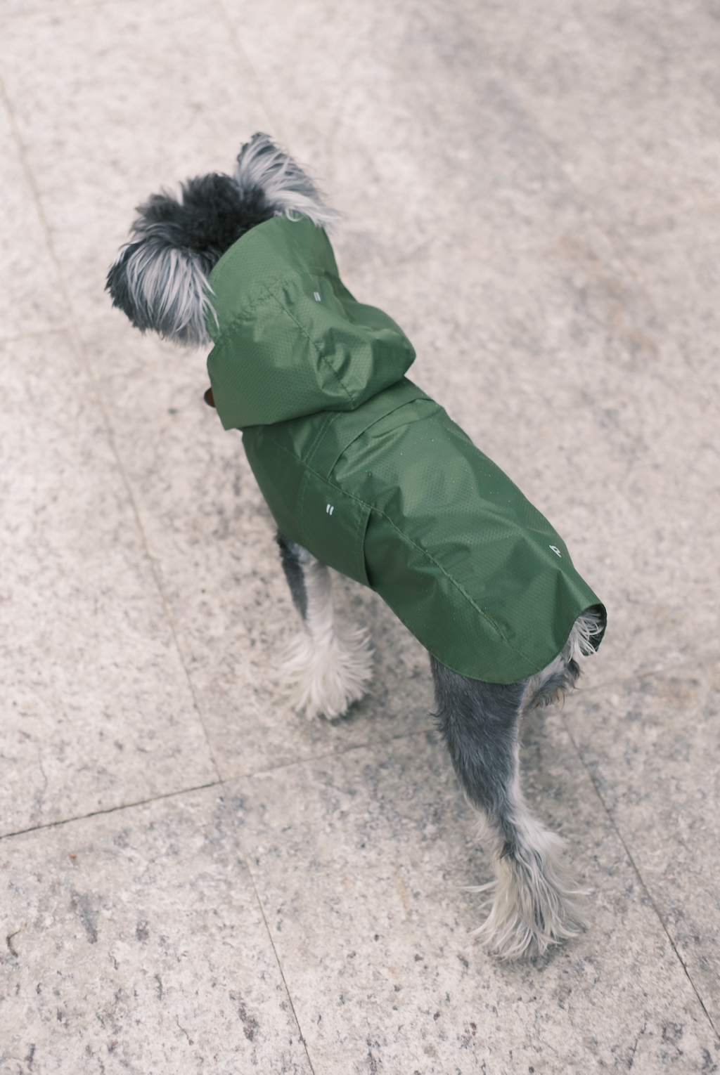 Pehom | Capsule Raincoat - Blue