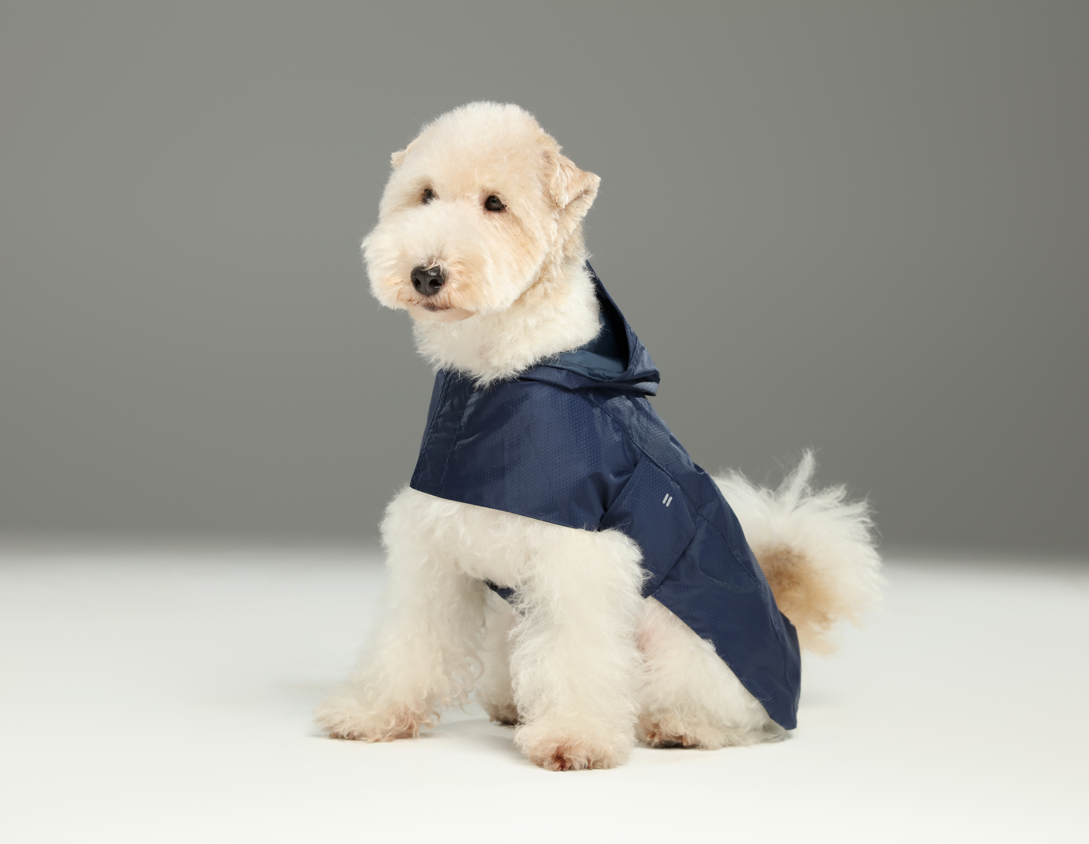 Pehom | Capsule Raincoat - Blue