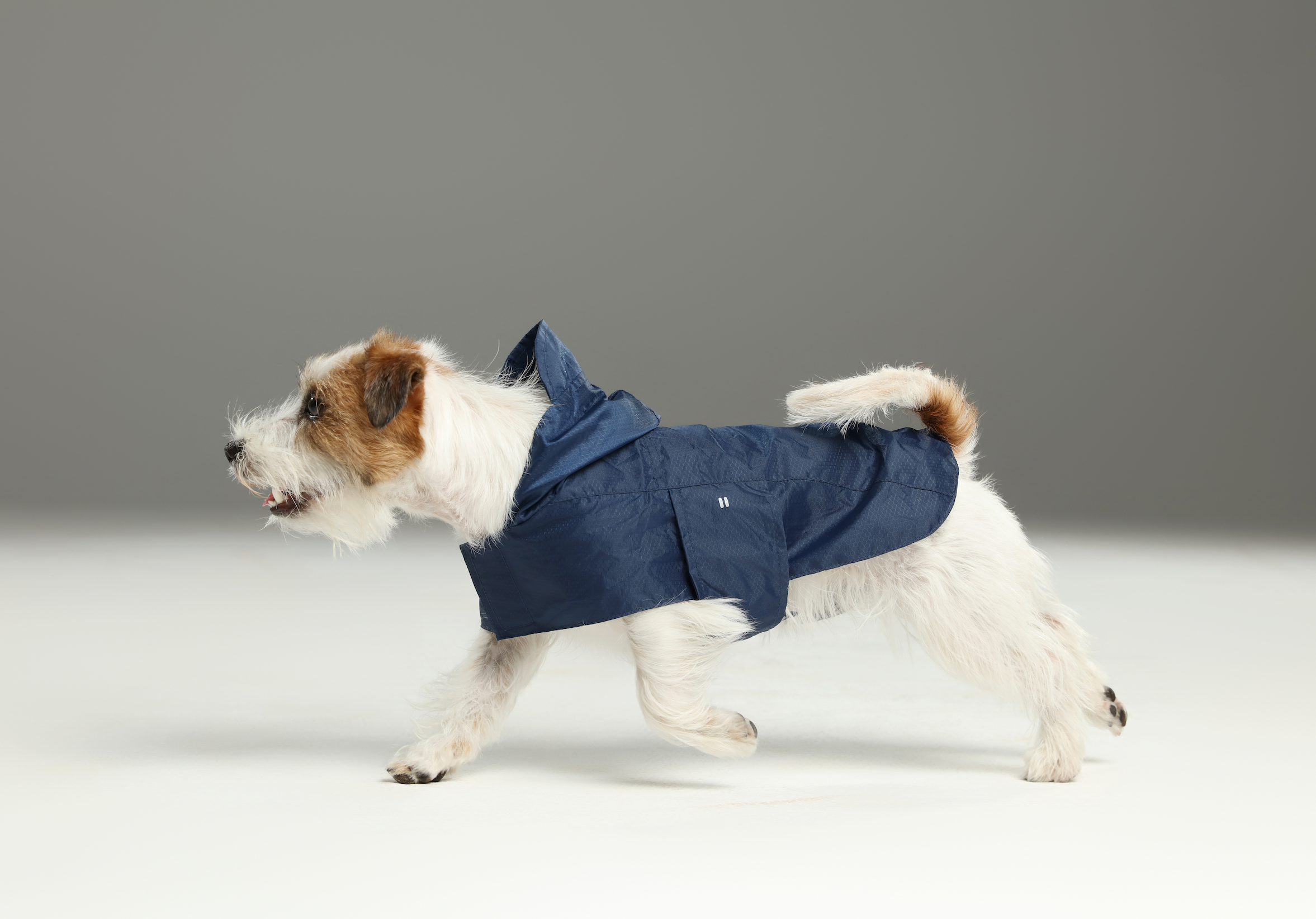 Pehom | Capsule Raincoat - Blue