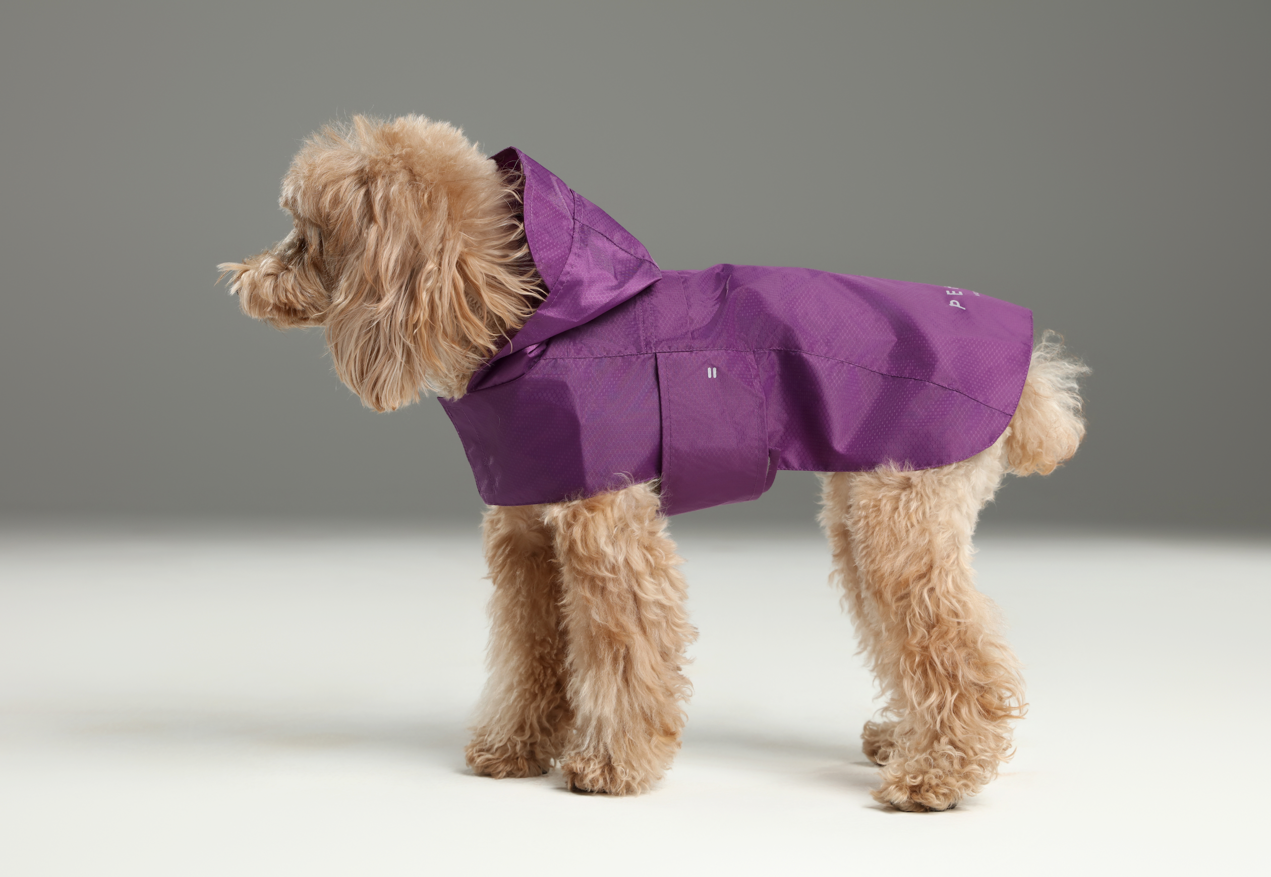 Capsule Raincoat - Purple