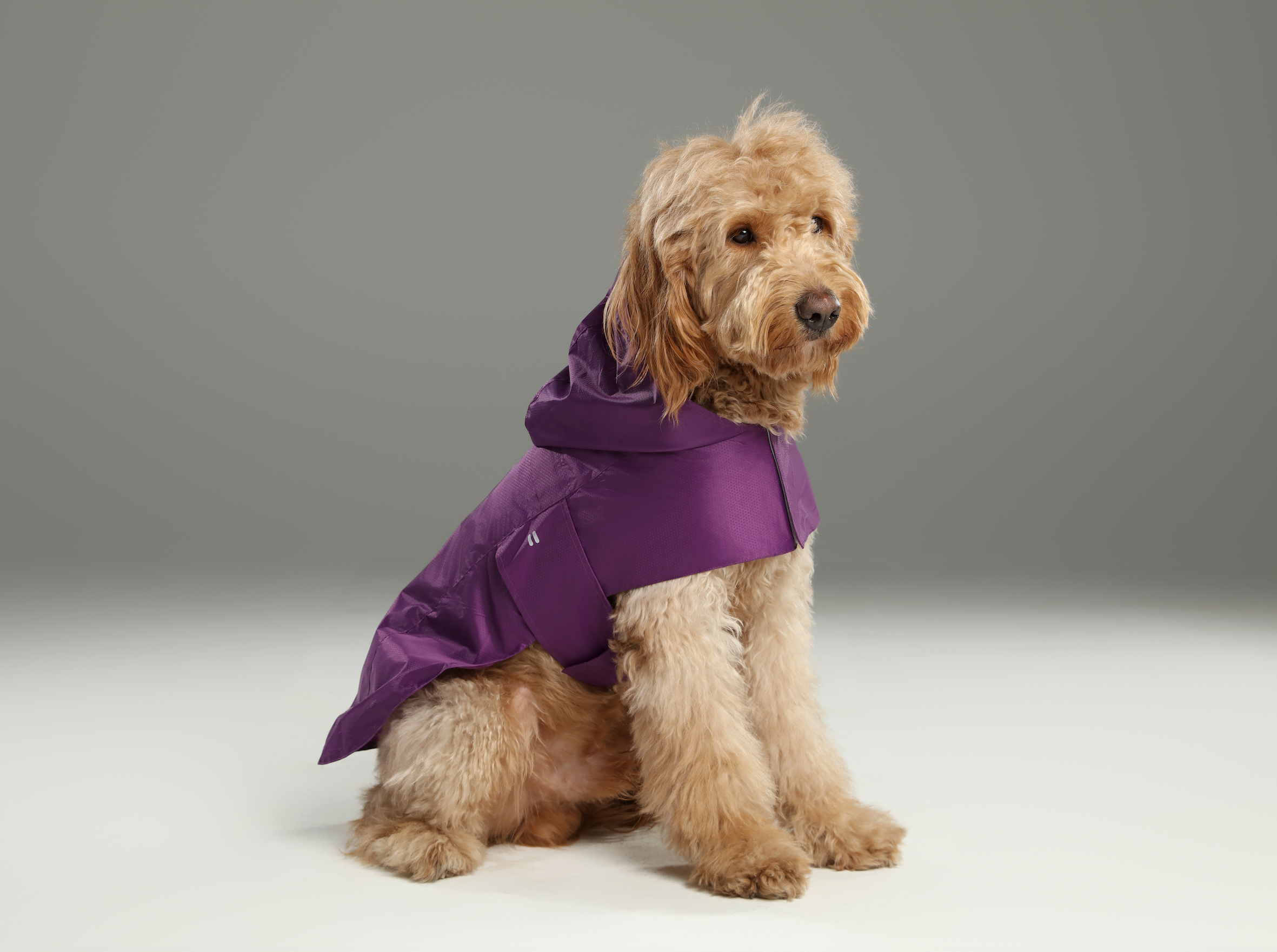 Capsule Raincoat - Purple