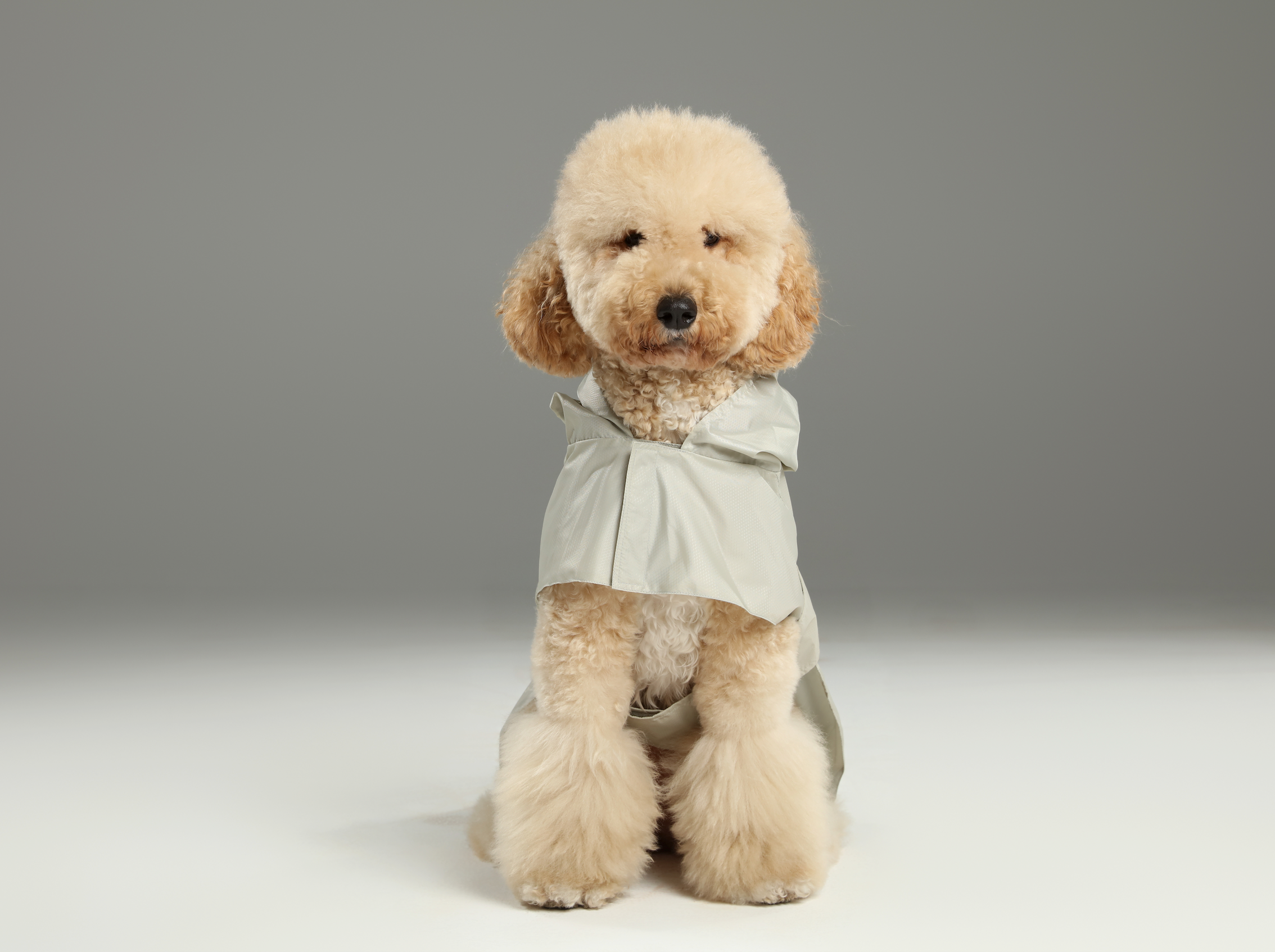 Pehom | Capsule Raincoat - Beige
