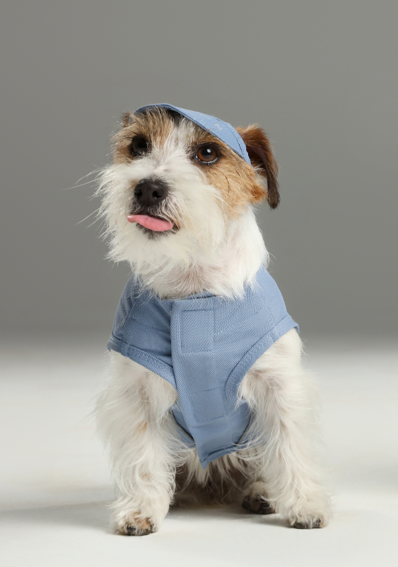 Pehom | Chill Vest Shirt - Blue