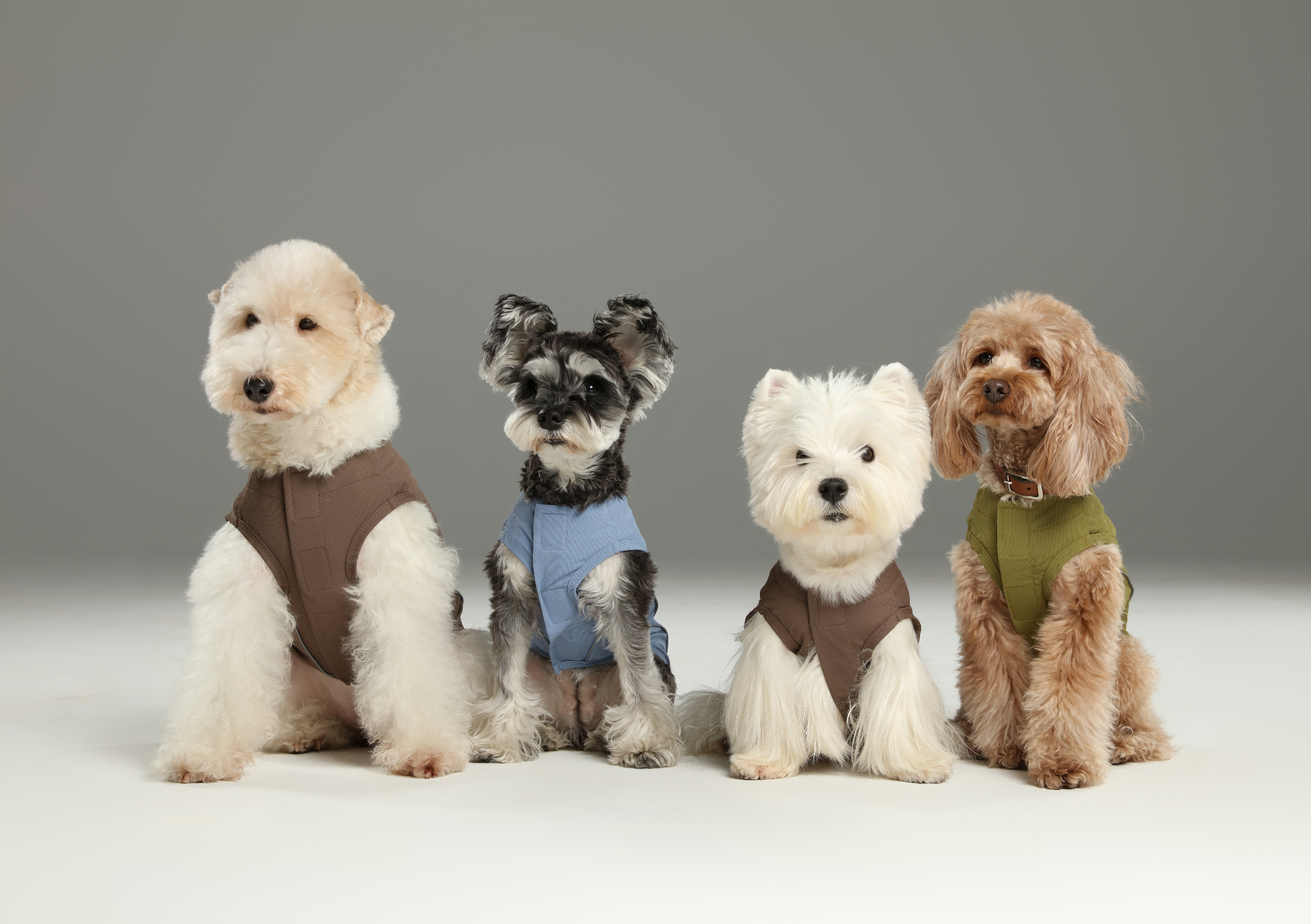 Pehom | Chill Vest Shirt - Blue