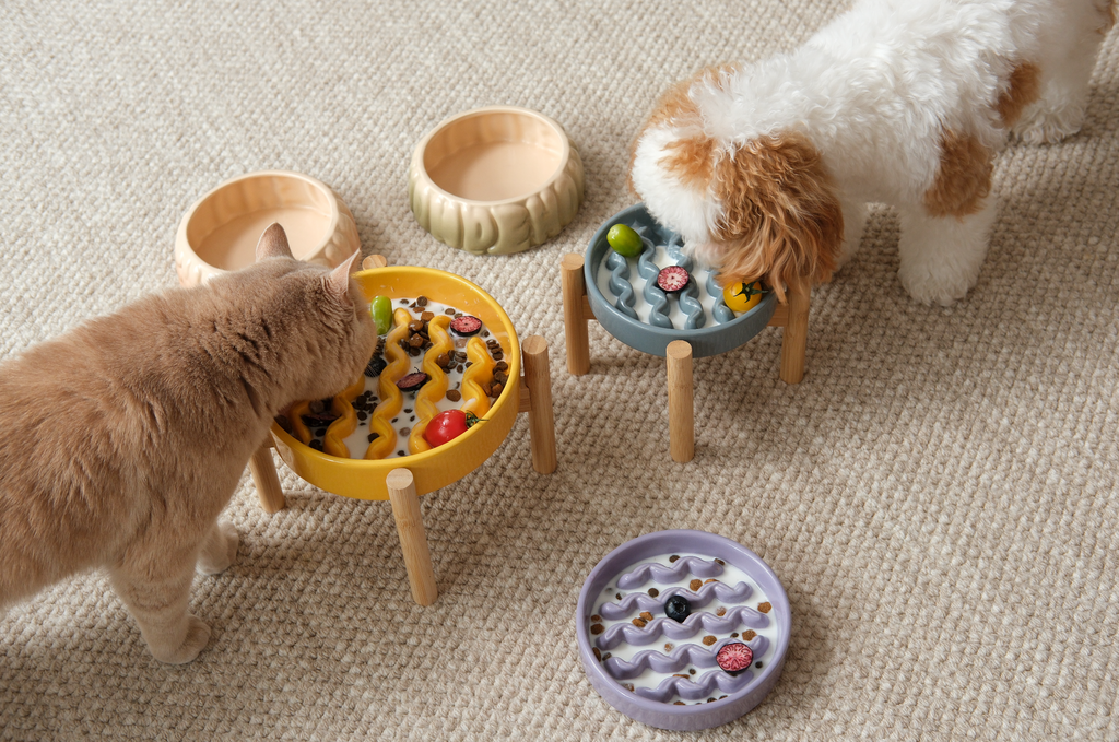 Pehom | Slow Feeder Dog Bowls - Yellow / Frozen Blue / Purple