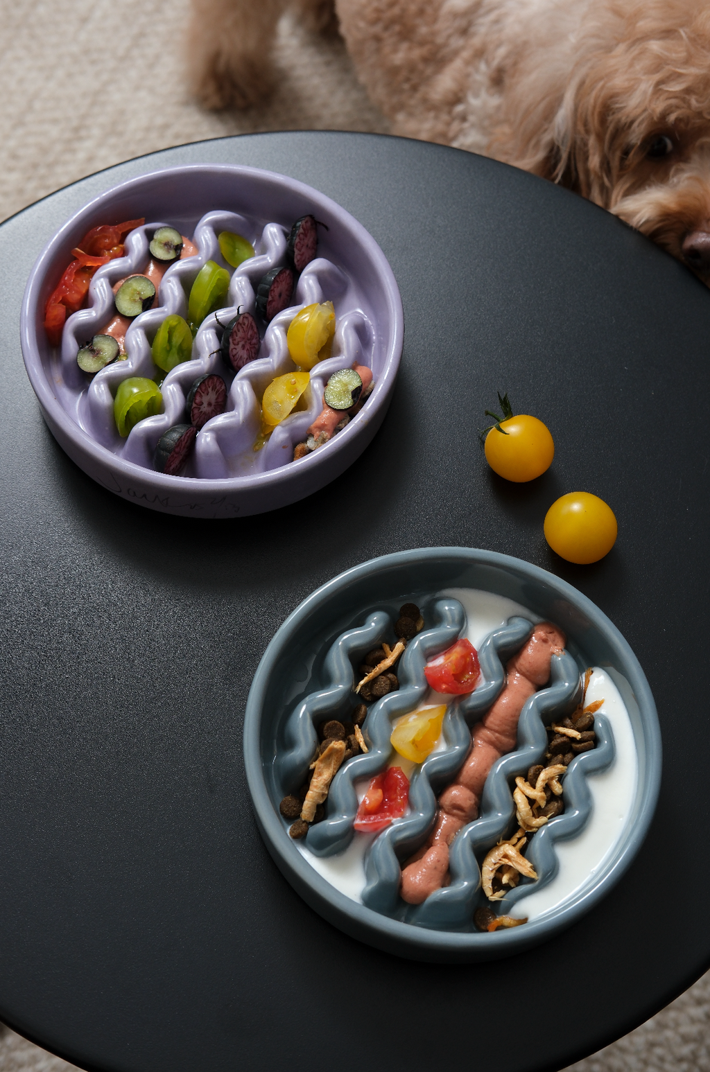 Pehom | Slow Feeder Dog Bowls - Yellow / Frozen Blue / Purple