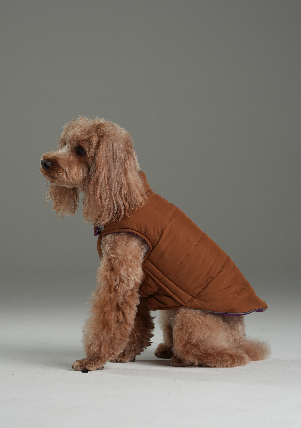 Pehom | Reversible Dog Vest Jacket - Purple Caramel