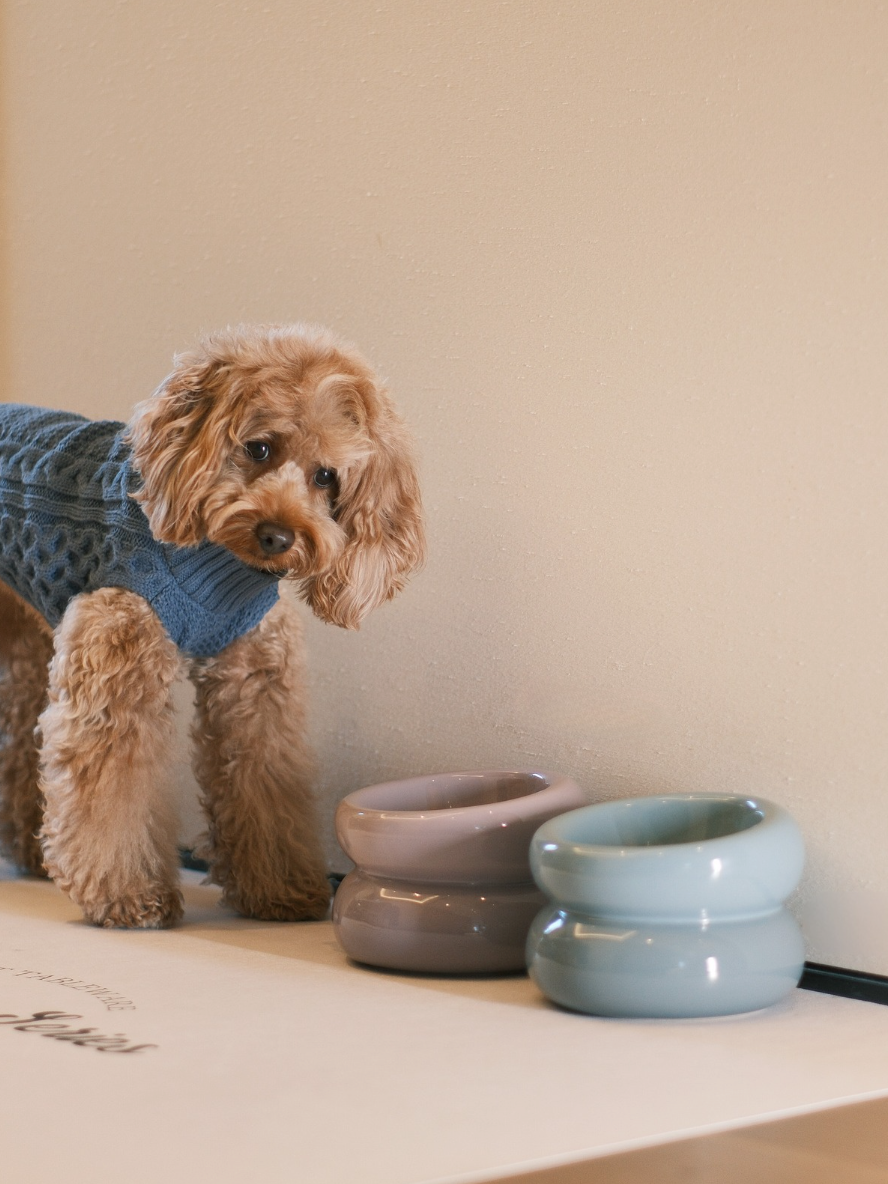 Pehom | Soufflé Pet Bowl - Frozen Blue