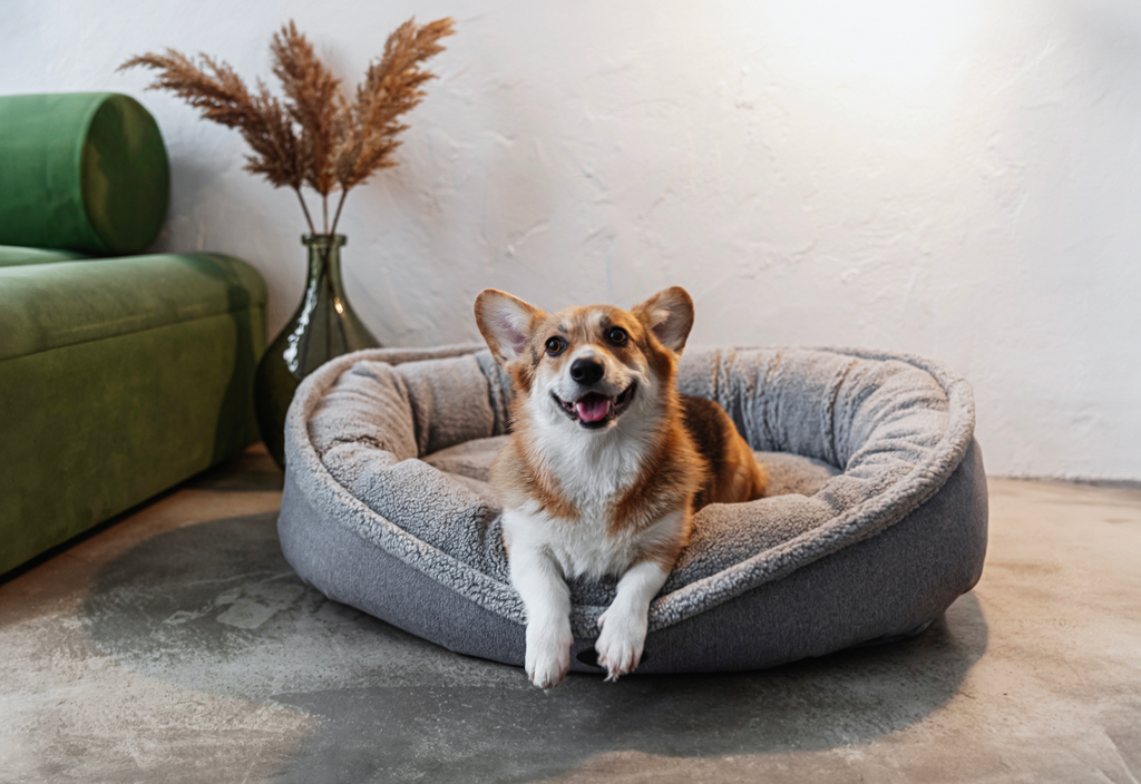 Chester & Lee | Furry Bagel Dog Bed