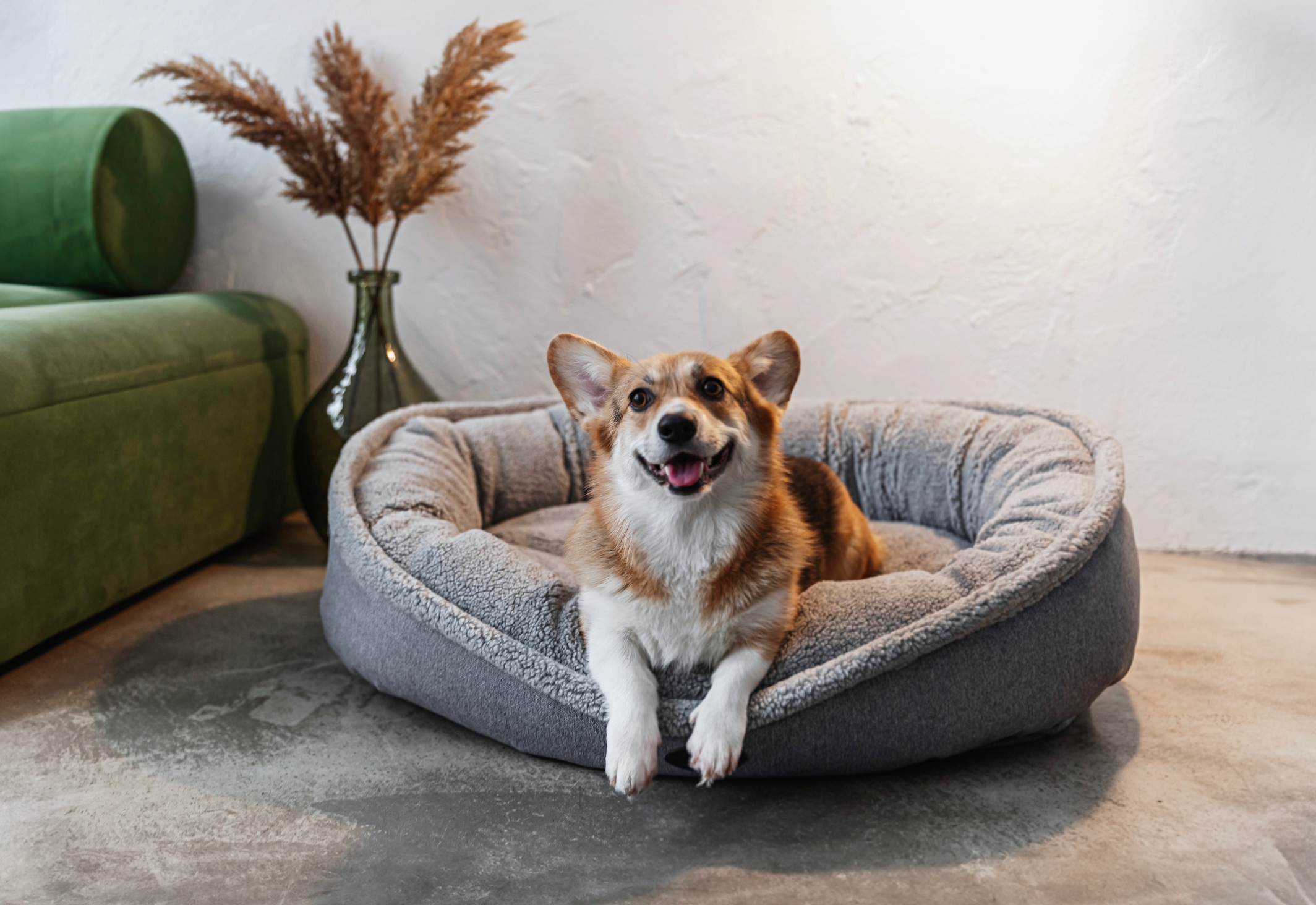 Chester & Lee | Furry Bagel Dog Bed