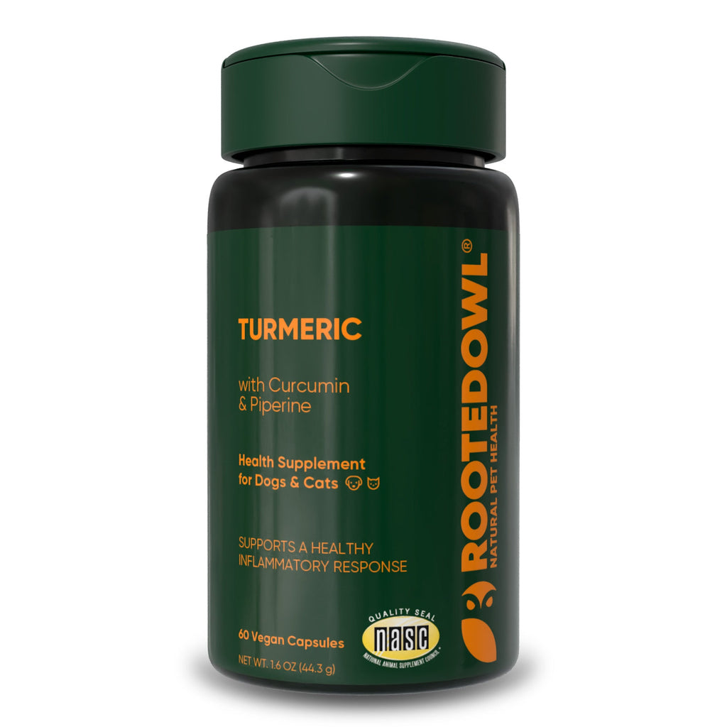 Rooted Owl® Turmeric
