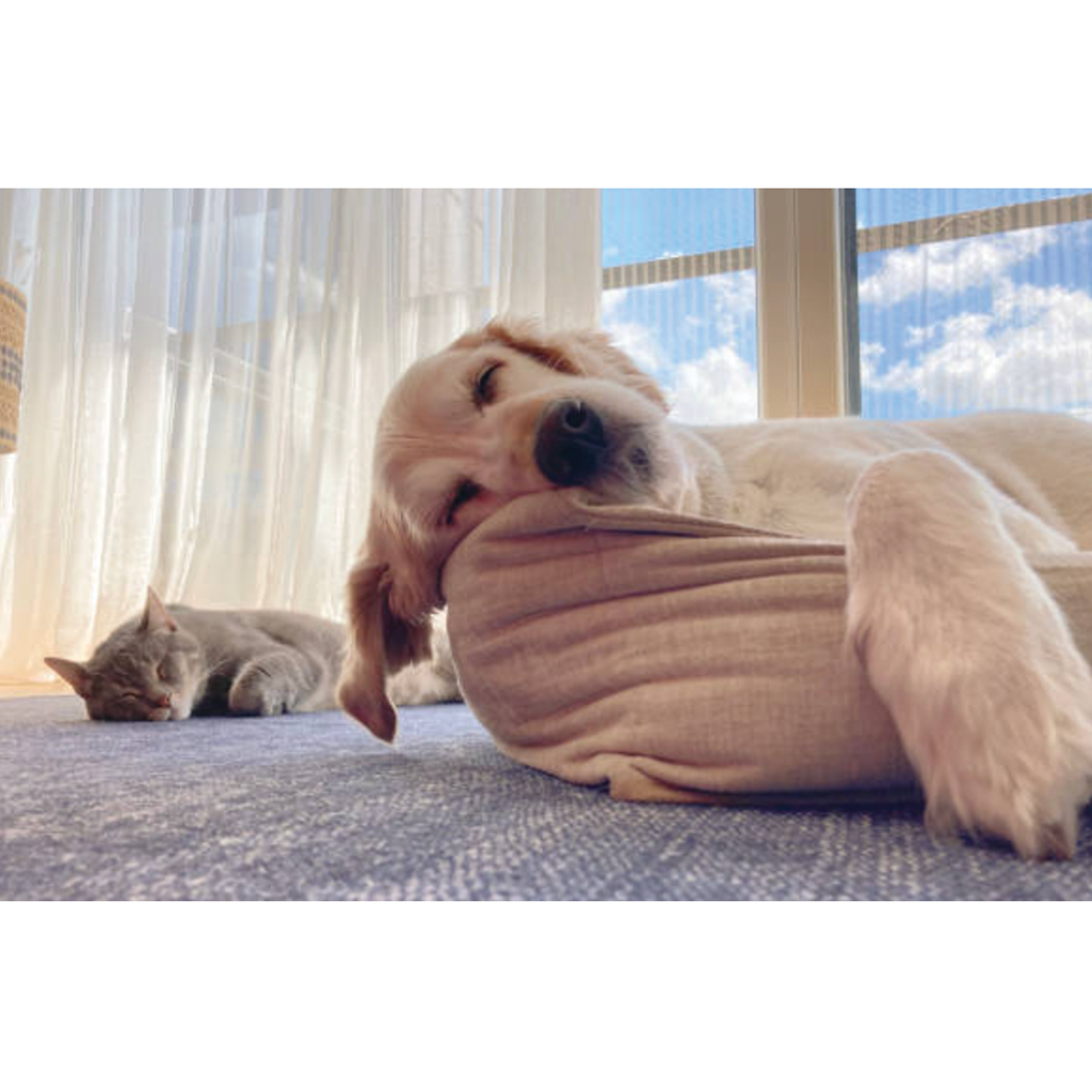 UBAVET Ubacalm Calming and Stress Relief Soft Dog and Cat Chews