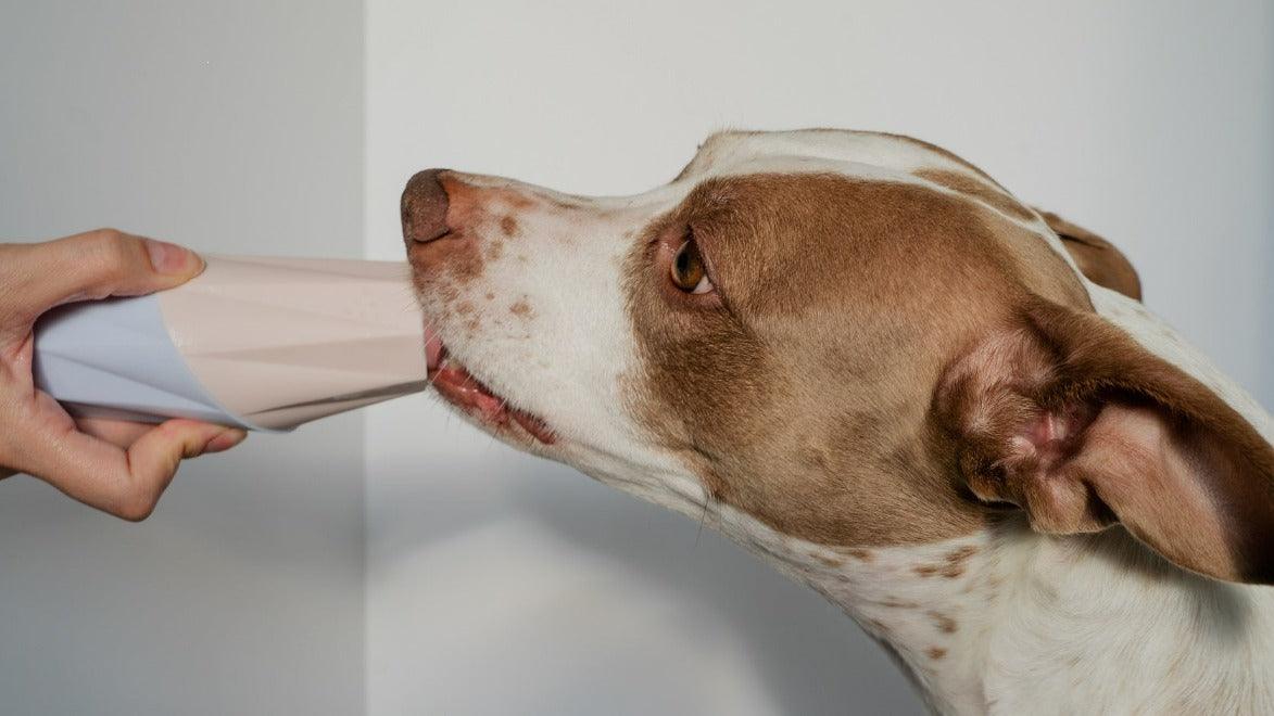 Up Dog | The Ubbe Modern Dog Licking Toy