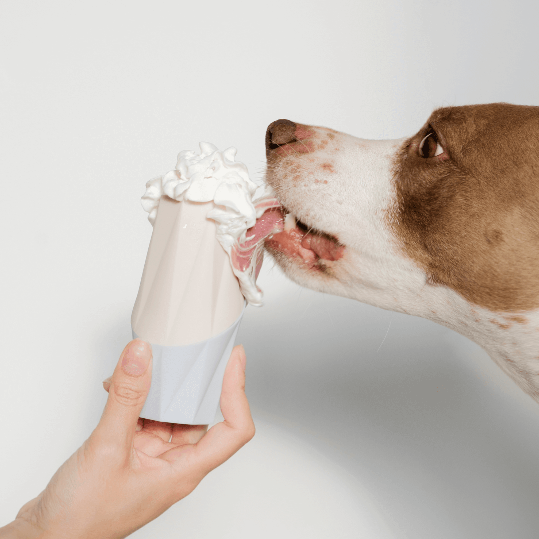 Up Dog | The Ubbe Modern Dog Licking Toy