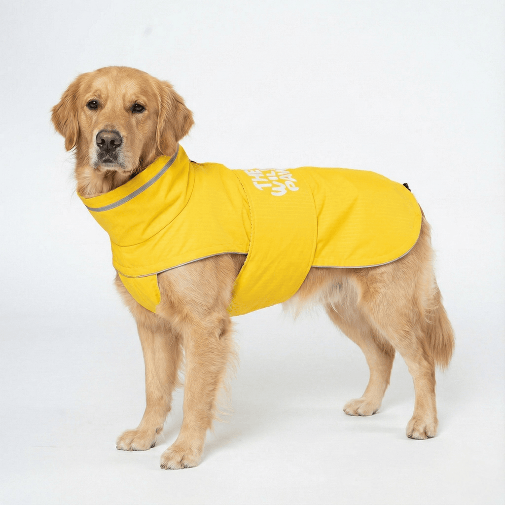 The Wild Paw WildGuard Rain Coat