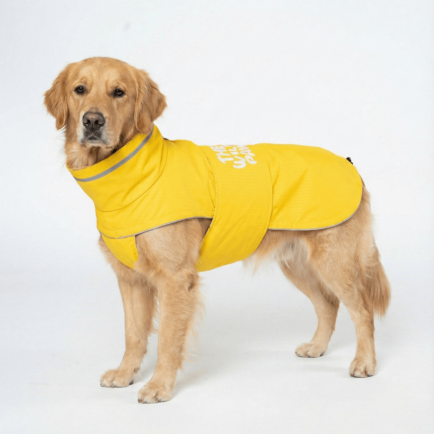 The Wild Paw WildGuard Rain Coat