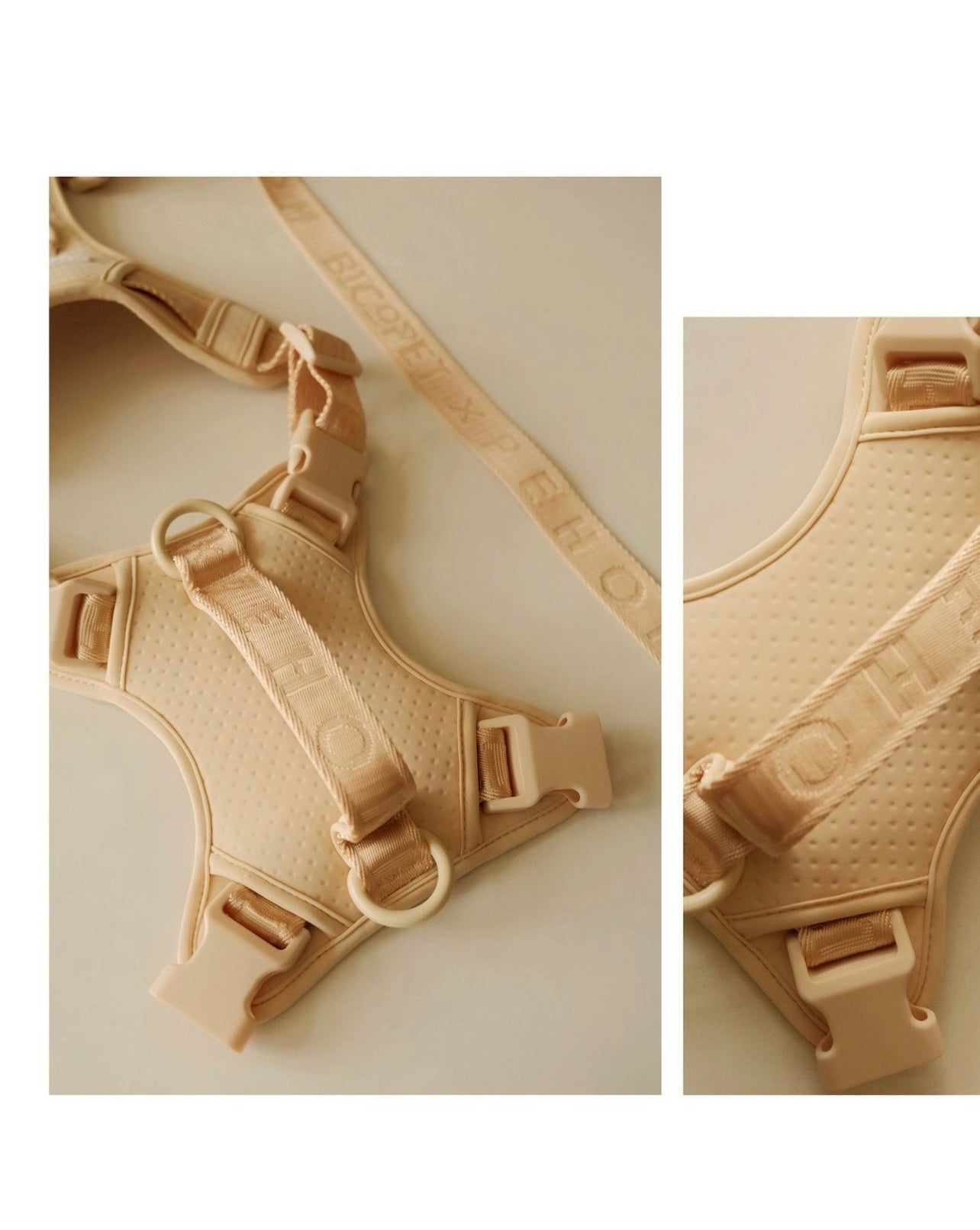 Pehom | No Pull Active Pet Harness - Mint Purple