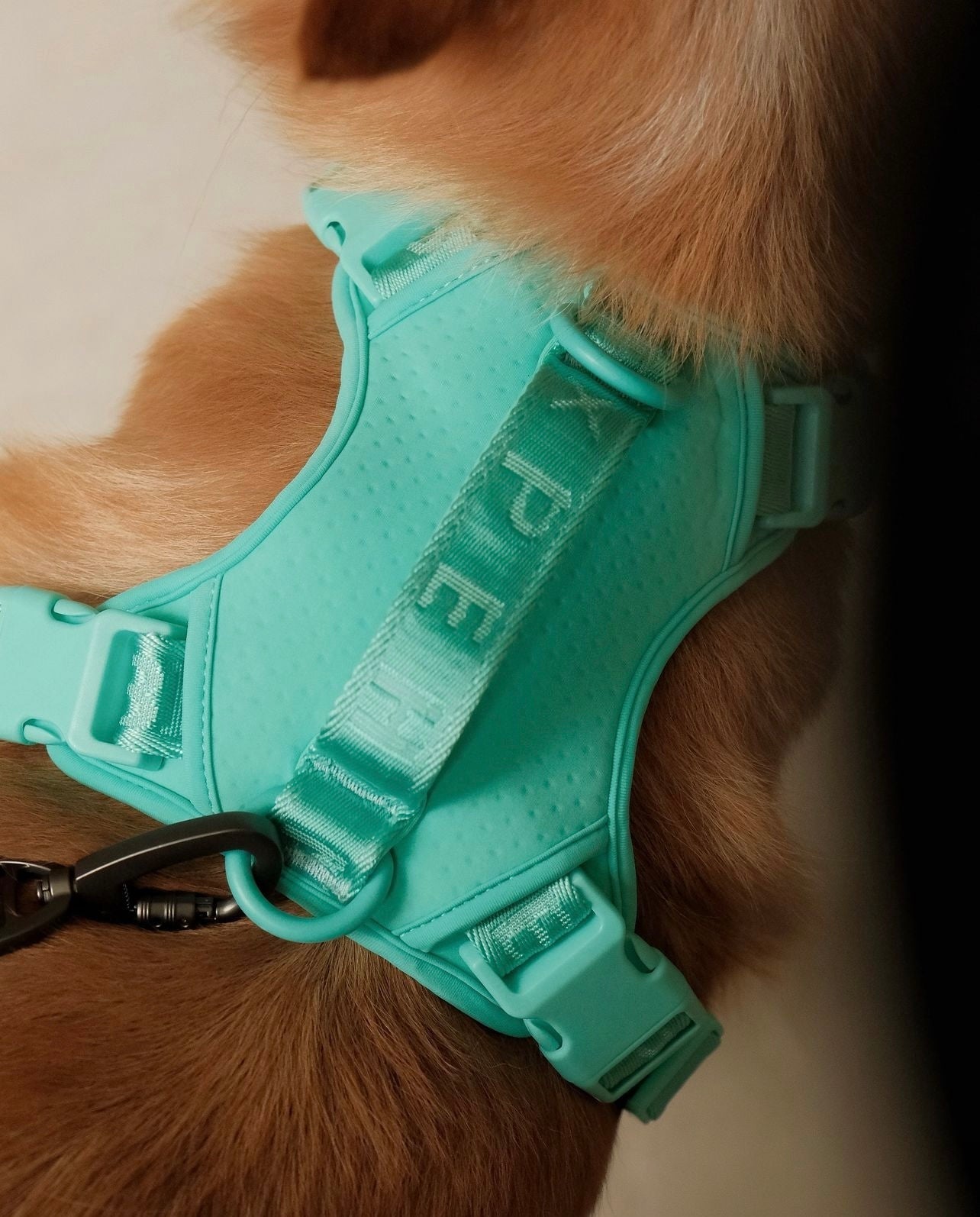 Pehom | No Pull Active Pet Harness - Mint Green