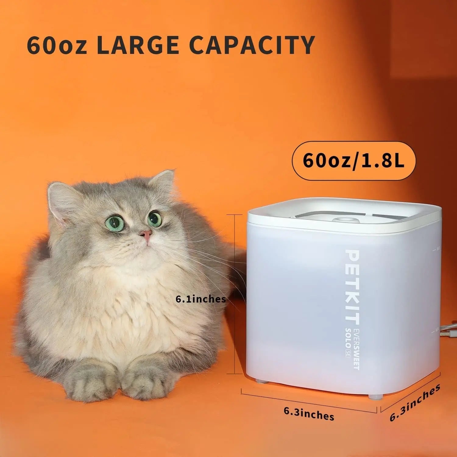 Wireless Cat Water Fountain 65oz Ultra Quiet Detachable Pump Filters