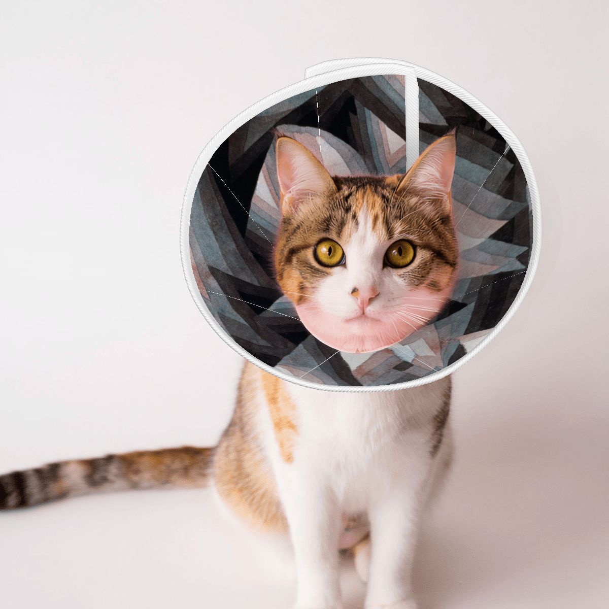Sebastian & Clementine Crystal Gradation Pet Elizabethan Collar