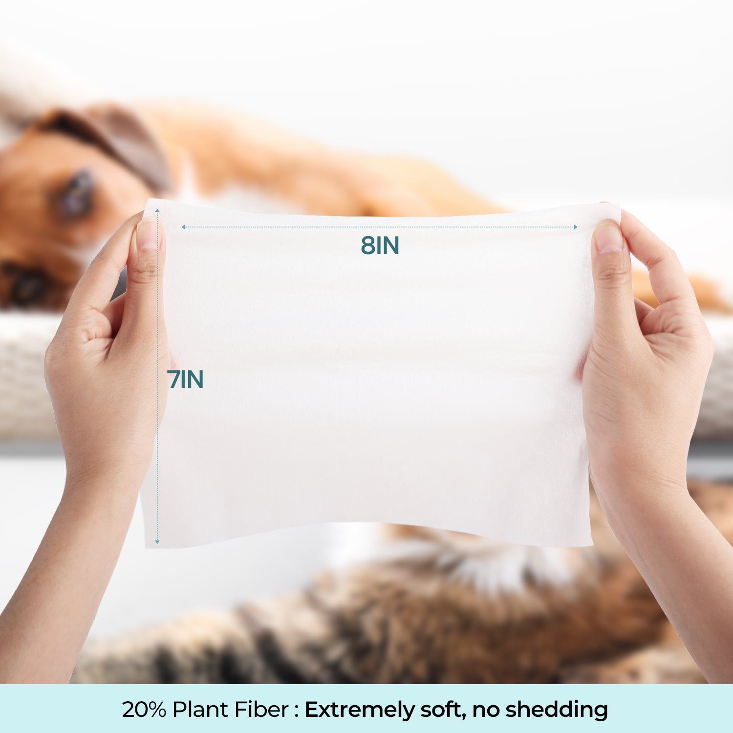 Coconut Oil Vanilla Extract Fragrance Free Alcohol-Free Pet Cleaning Wipes