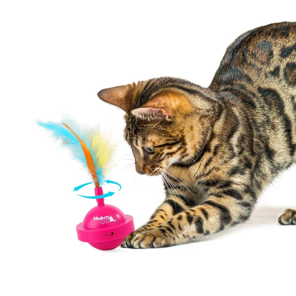 Modern Cat Spinning Teaser Toy