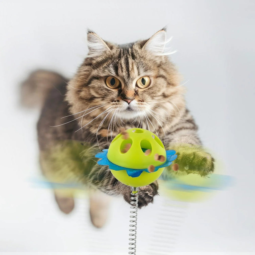 Interactive Food Puzzles For Cats