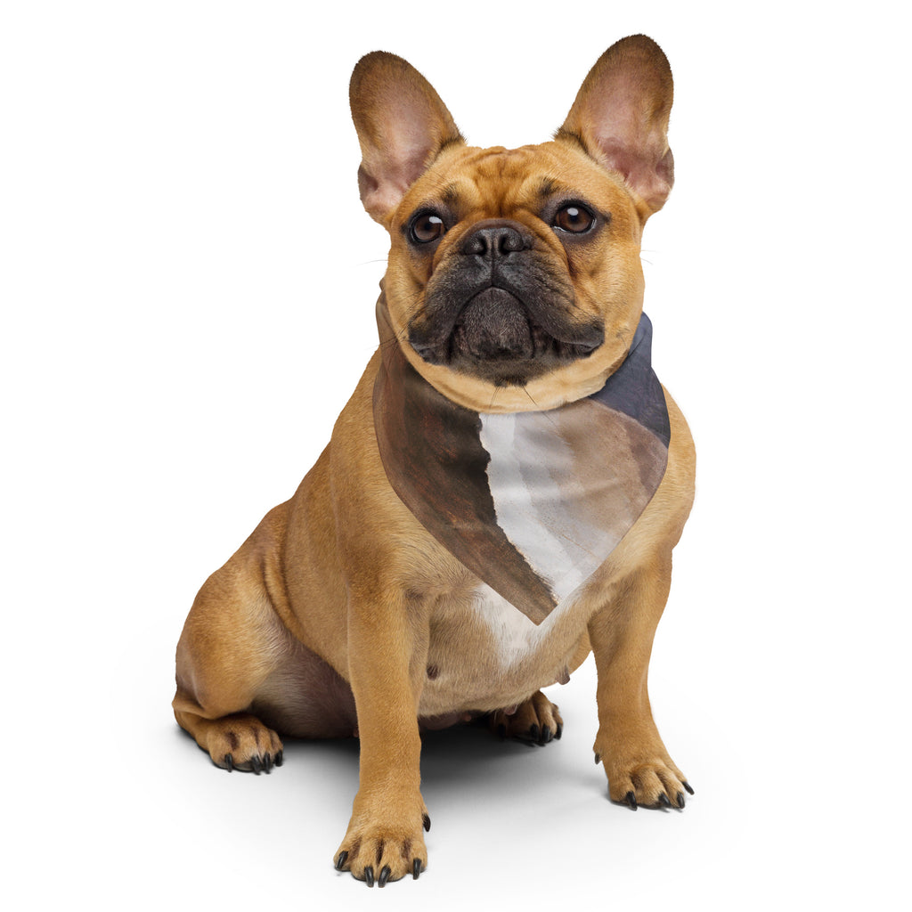 Sebastian & Clementine Reaching Waves Bandana For Dogs and Cats