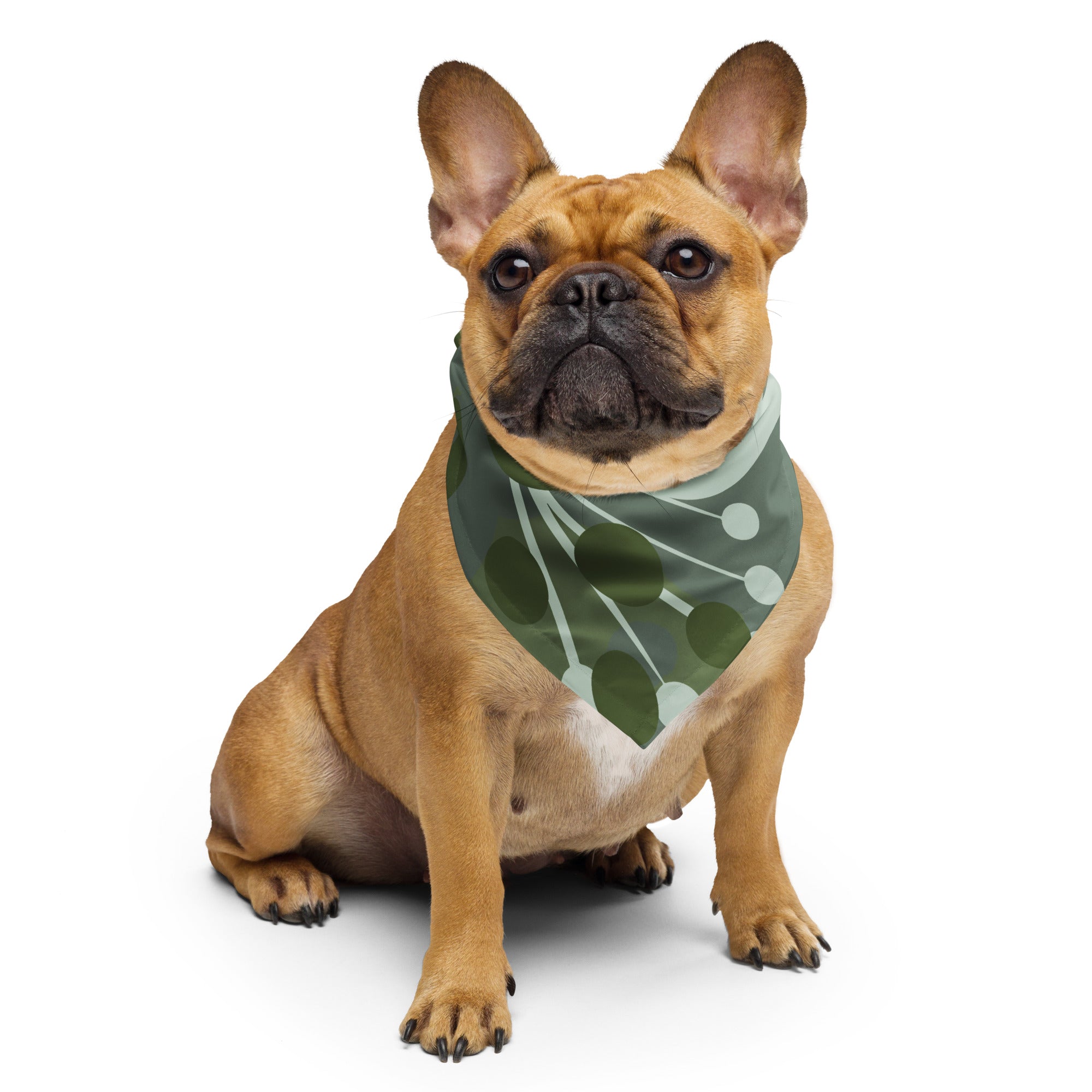 Sebastian & Clementine Green Floral Bandana For Dogs and Cats
