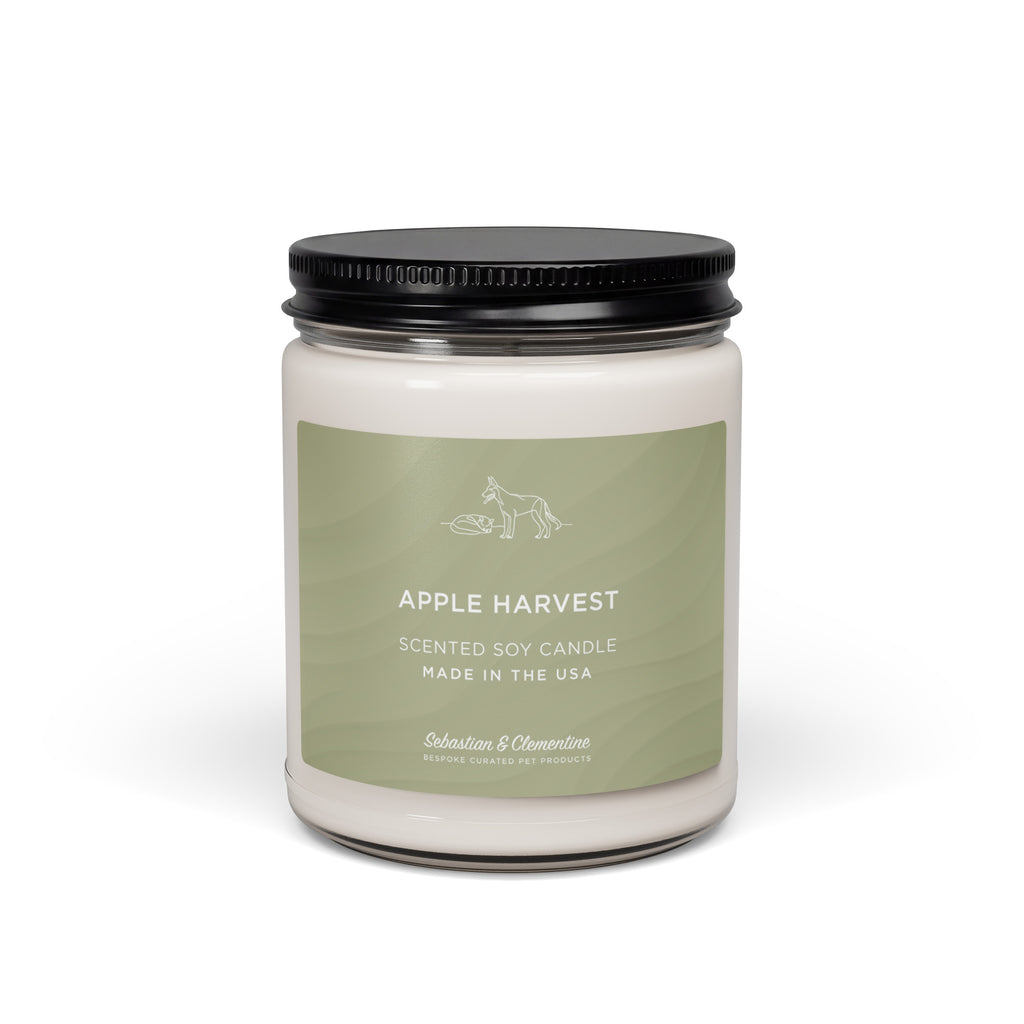 Sebastian & Clementine Scented Soy Candle - Apple Harvest