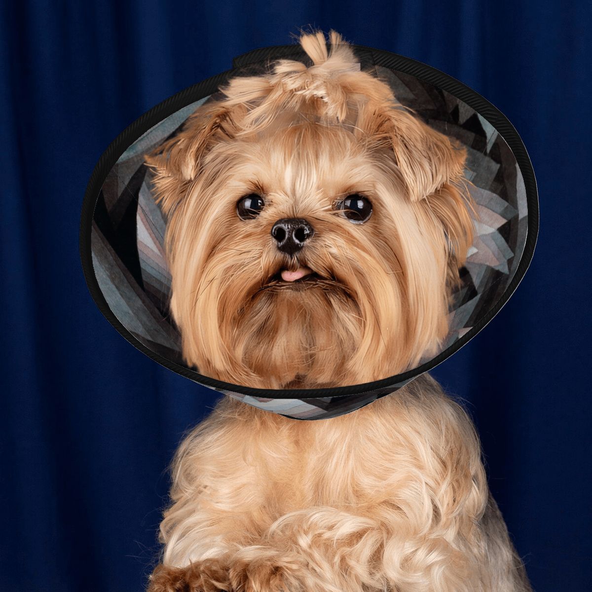 Sebastian & Clementine Crystal Gradation Pet Elizabethan Collar