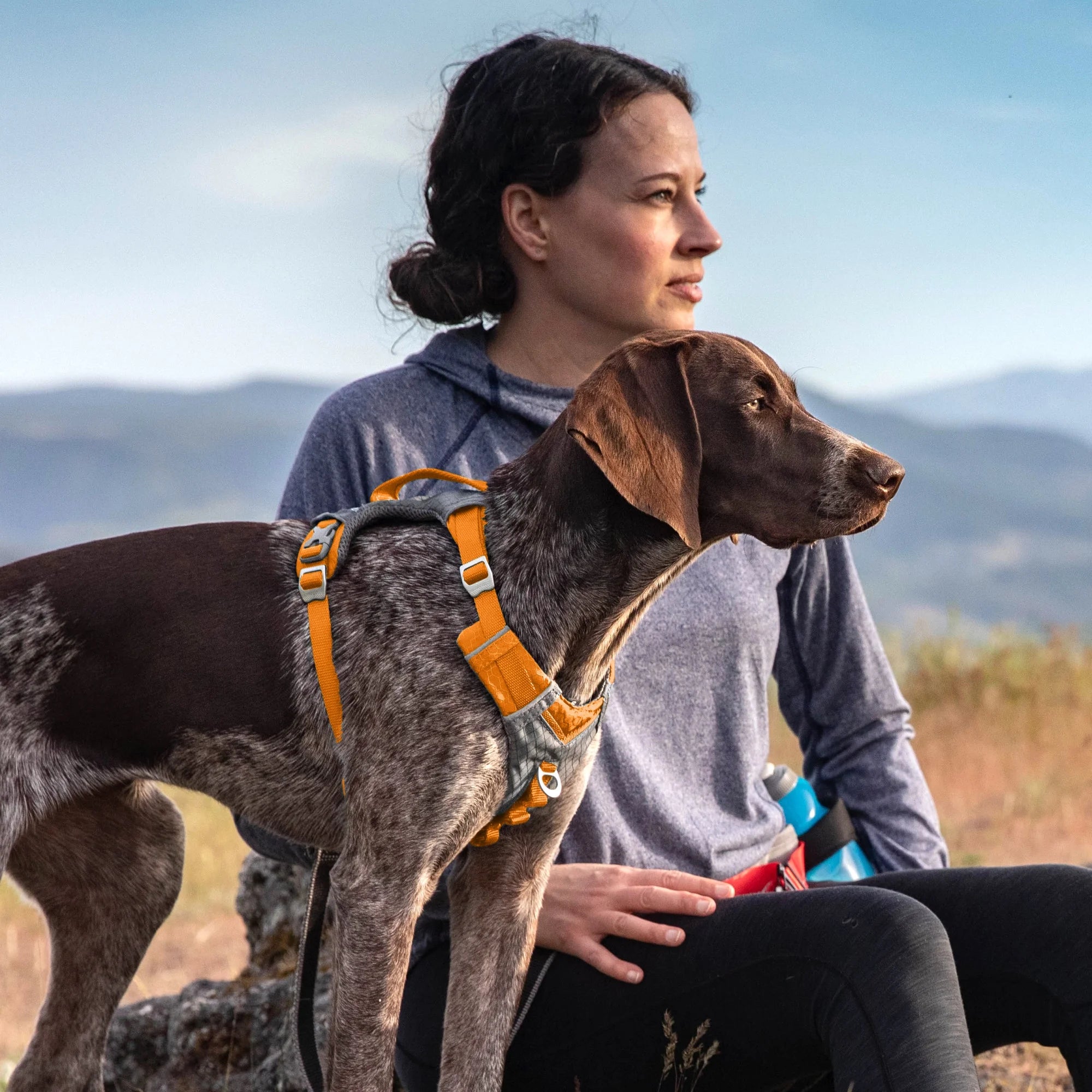 Journey Air Dog Pet Hiking Harness for Running & Walking