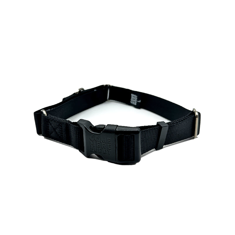 Come Here Buddy Martingale Dog Collar