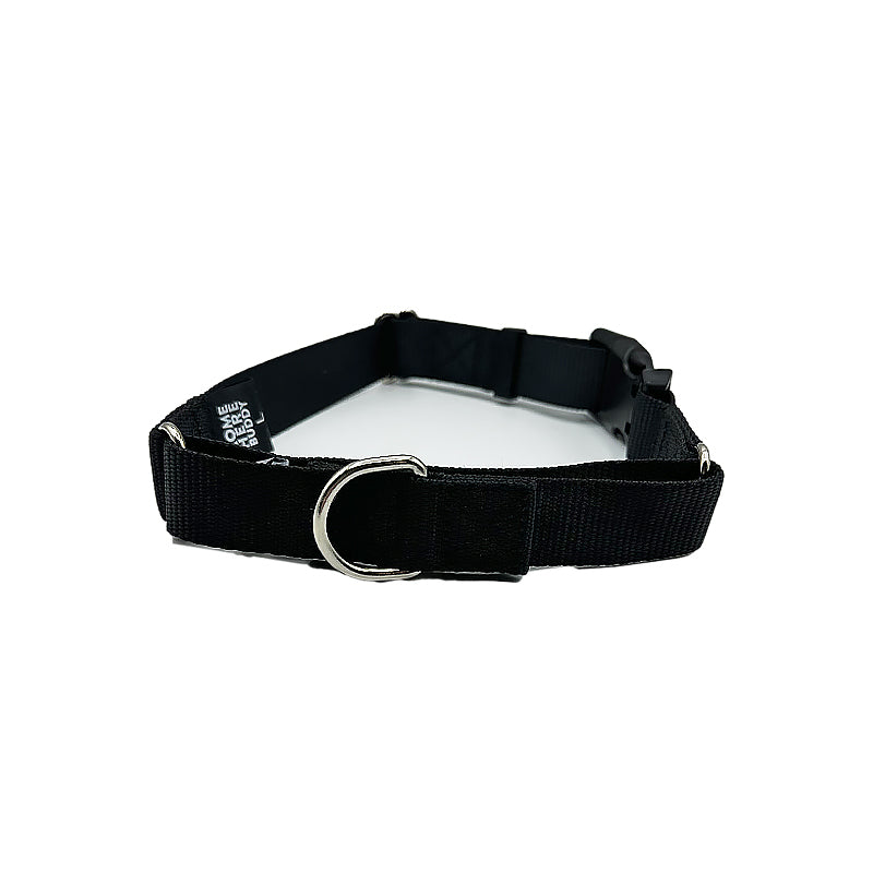 Come Here Buddy Martingale Dog Collar