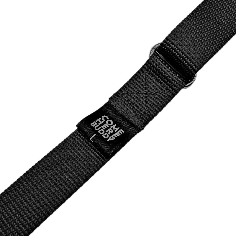 Come Here Buddy Martingale Dog Collar