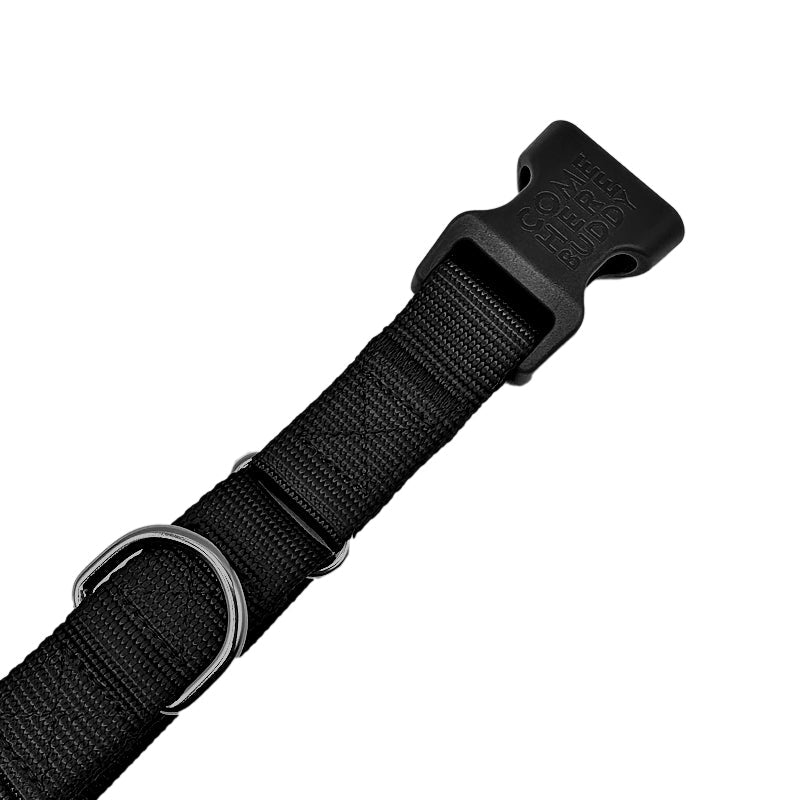 Come Here Buddy Martingale Dog Collar