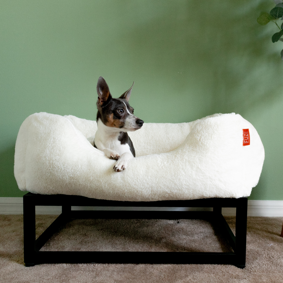 The FÜZI Pet Bed