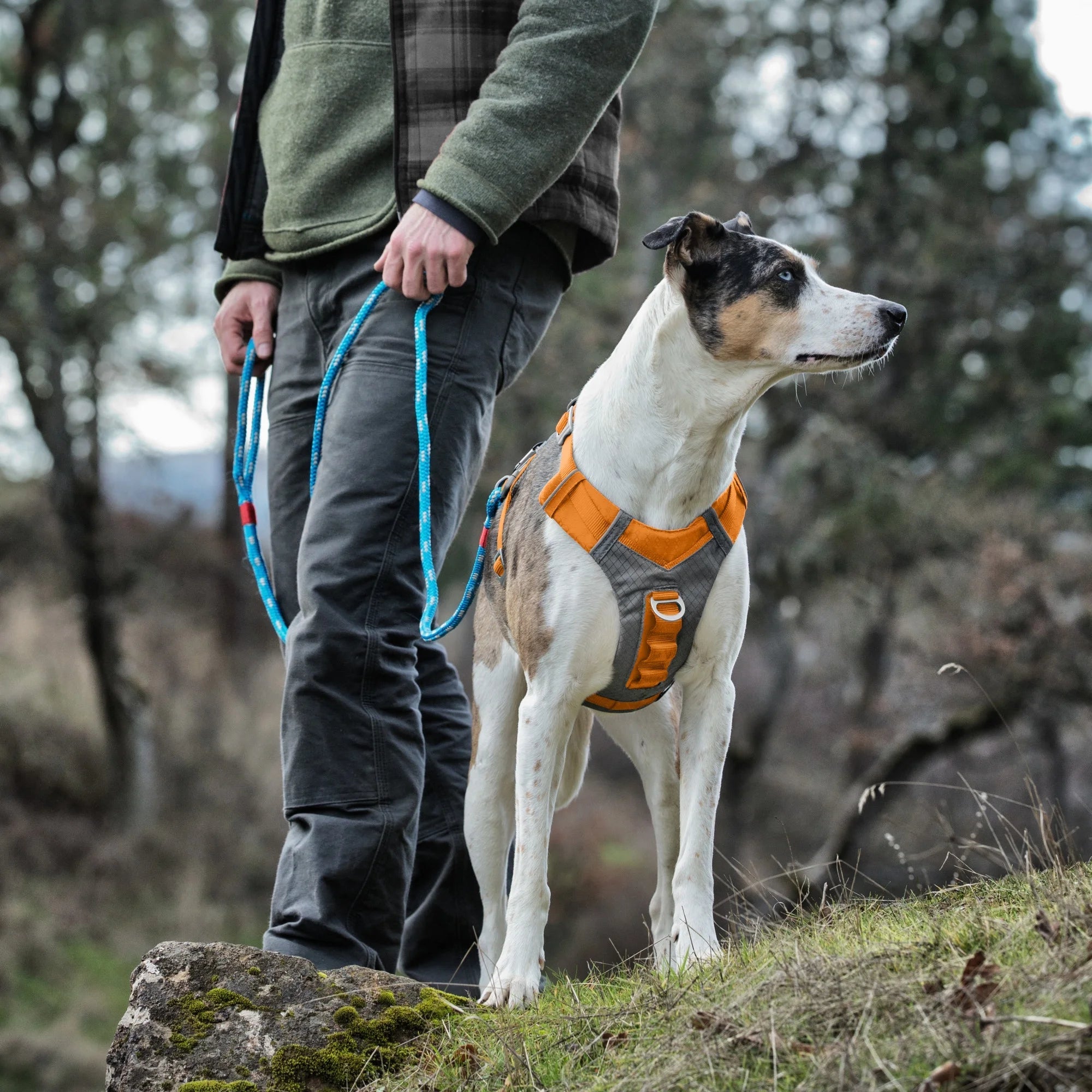 Journey Air Dog Pet Hiking Harness for Running & Walking