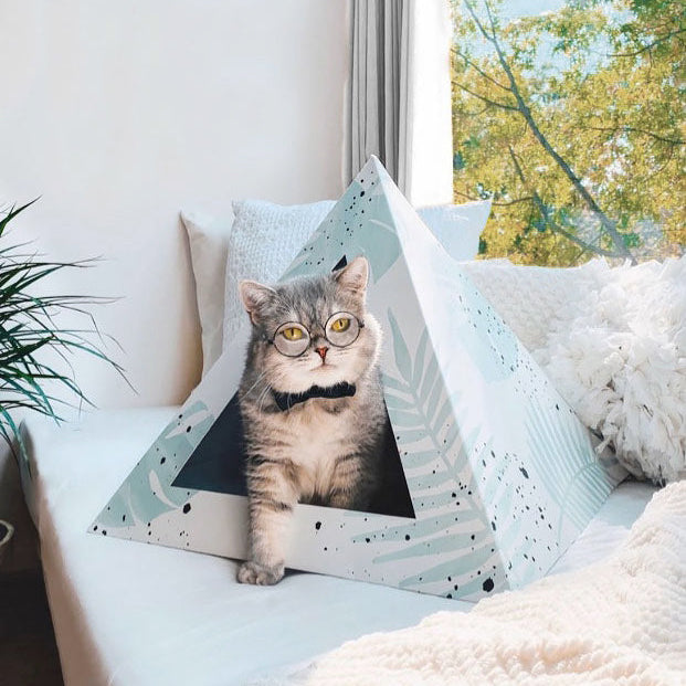 'Oasis' Cardboard Cat Pyramid