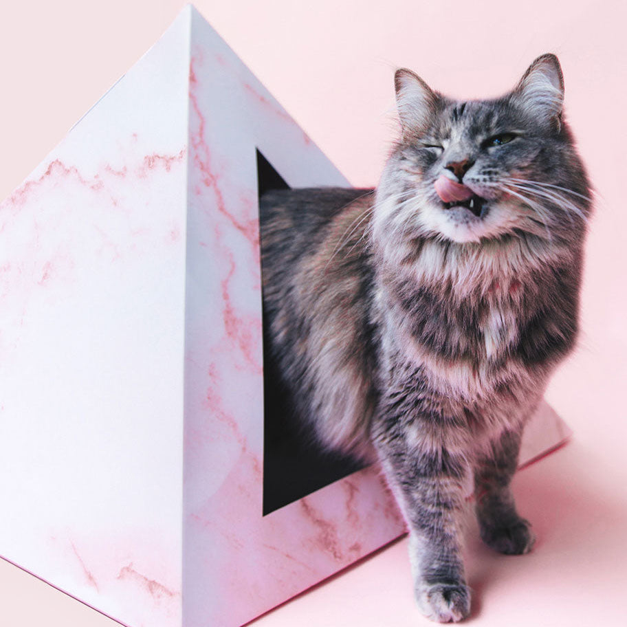 'Rose Quartz' Cardboard Cat Pyramid