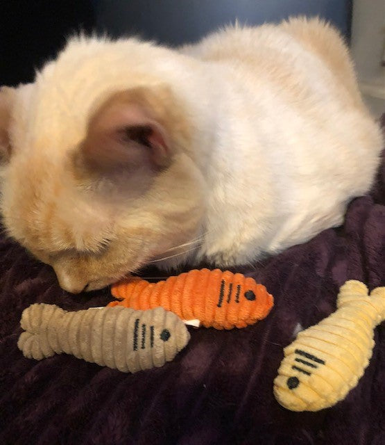Cat playing with plush toy fish on a dark surface.
