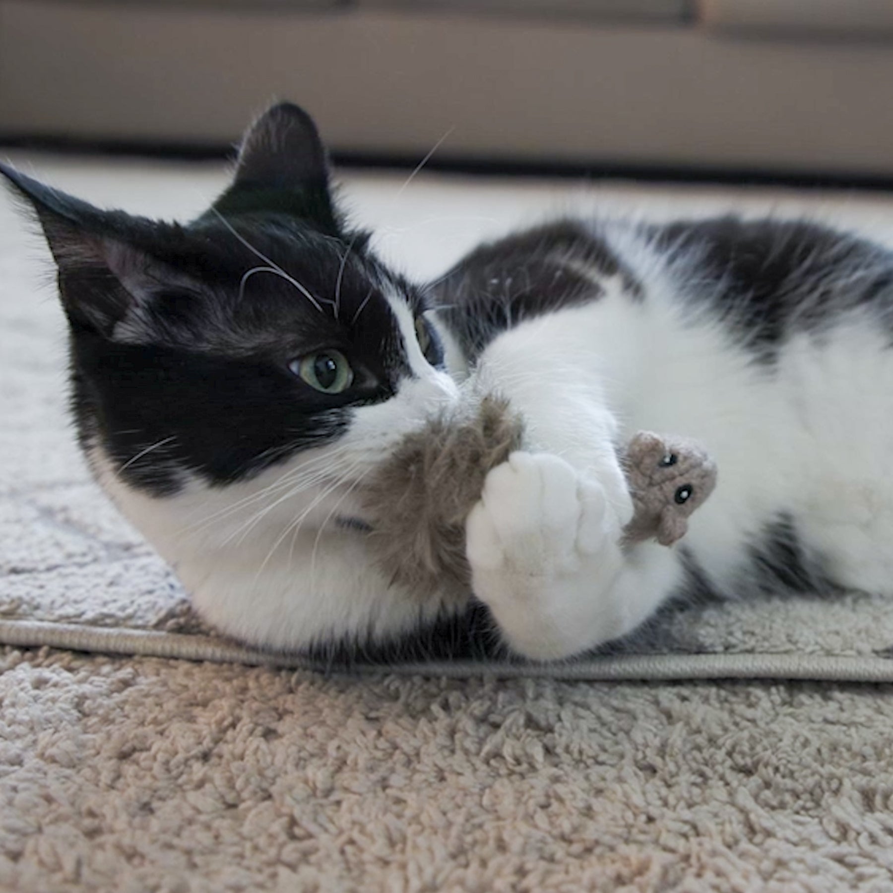 Black and white cat playing with a plush cat toy on a carpeted floor.