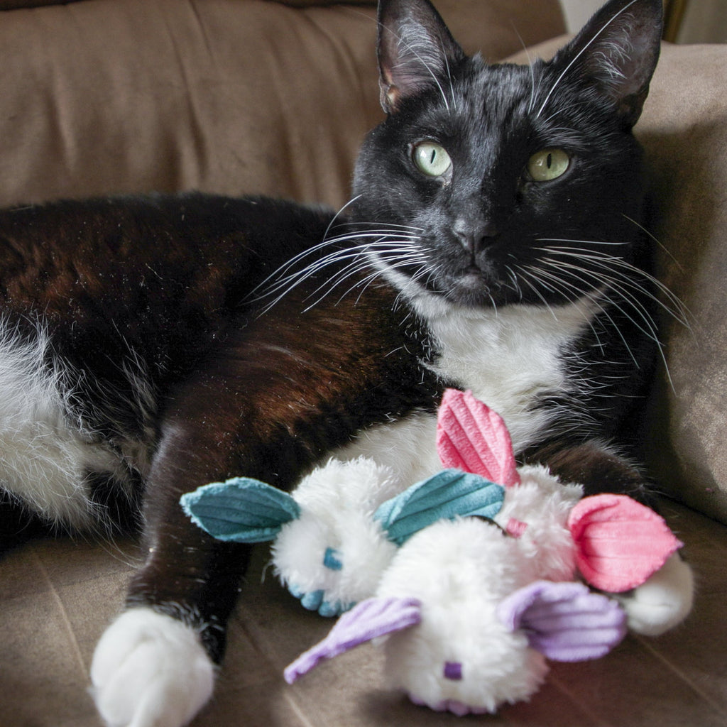 Black and white cat playing with a colorful plush toy on a brown couch.