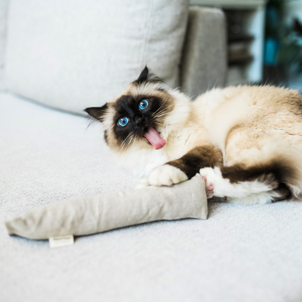 Boba & Vespa Cat Kicker Toy for Bunny Kicks in Hemp and Cotton with Organic Catnip