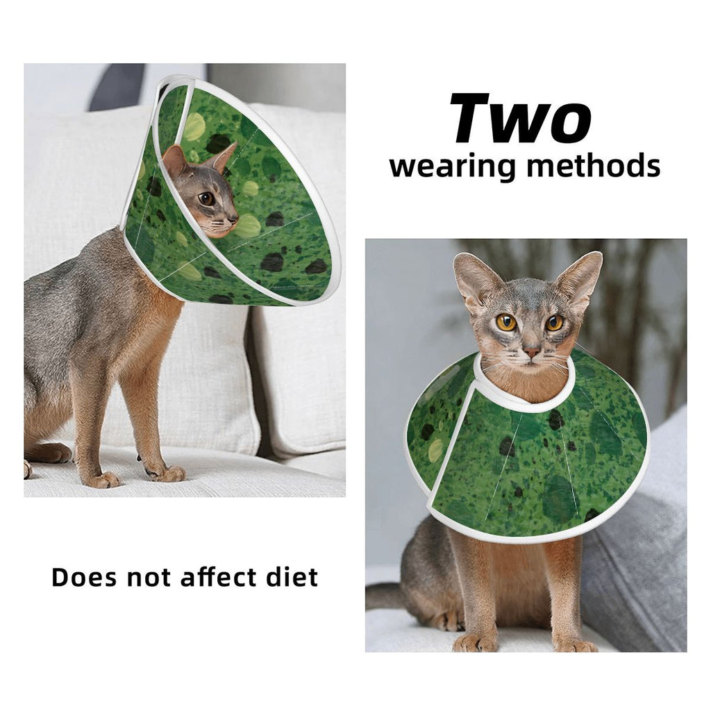 Sebastian & Clementine Green Painting Pet Elizabethan Collar